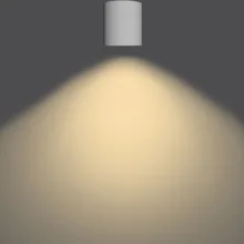 چراغ سقفى روکار شعاع SH-5017-20W